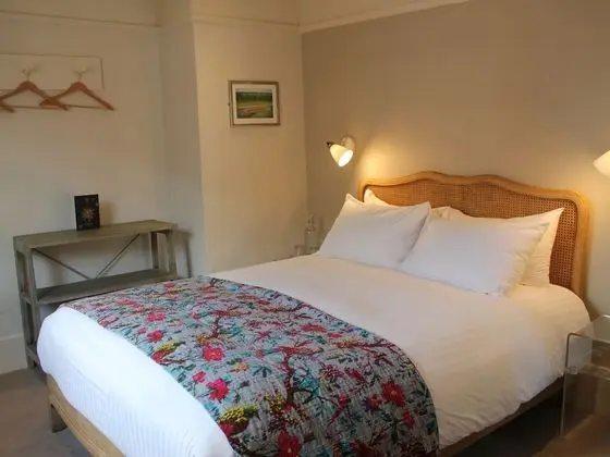 Deluxe Tek Büyük Yataklı Oda, Banyolu/Duşlu (Standard Double)