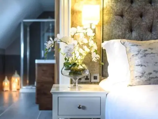 Superior Tek Büyük Yataklı Oda