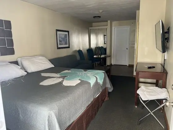 Comfort Stüdyo, 1 En Büyük (King) Boy Yatak ve Çekyat