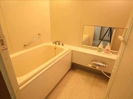 Standard İki Ayrı Yataklı Oda, Sigara İçilebilir