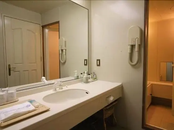 Traditional Oda, Sigara İçilebilir (Japanese Style, 22sqm, Up to 4 Guests)