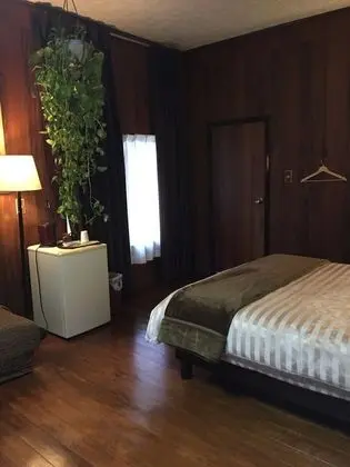 Standard Tek Büyük Yataklı Oda (Western Style)