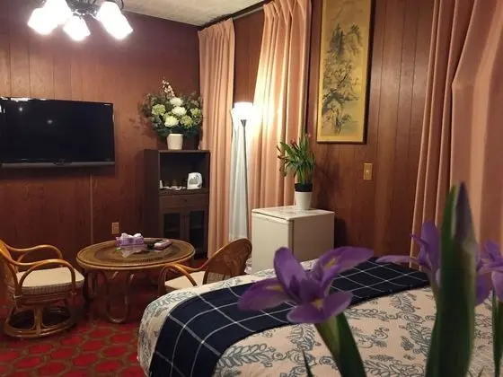 Standard Tek Büyük Yataklı Oda (Western Style)