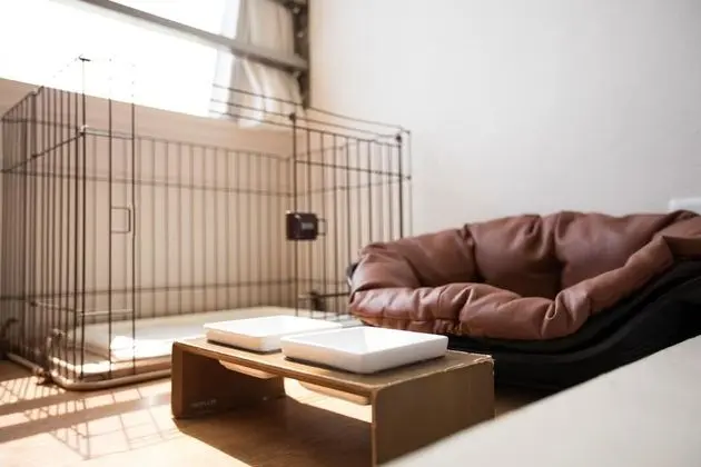 Traditional Oda, Sigara İçilebilir (Pet, Japanese Style, 2nd Floor, 10Jo)