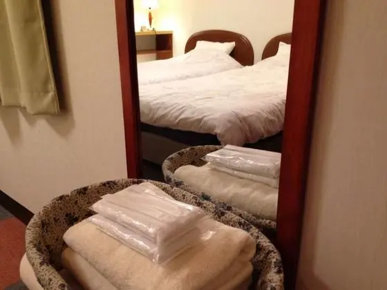 İki Ayrı Yataklı Oda, 2 Tek Kişilik Yatak, Sigara İçilmez