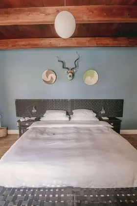 Tek Büyük veya İki Ayrı Yataklı Oda, Havuz Manzaralı