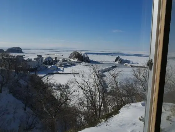 Traditional İki Ayrı Yataklı Oda, Özel Banyo, Okyanus Manzaralı (with Tatami Area)