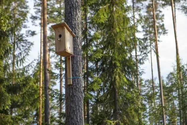 Kır Evi, 4 Yatak Odası, Sauna