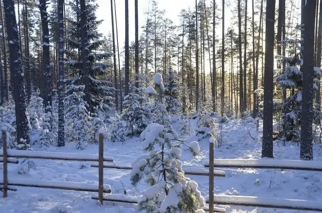 Kır Evi, 4 Yatak Odası, Sauna