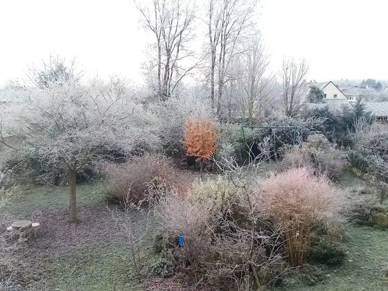 Romantic Tek Büyük Yataklı Oda