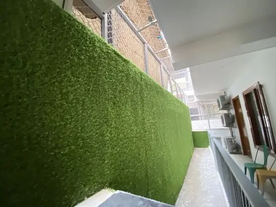 Standard Tek Büyük veya İki Ayrı Yataklı Oda, Balkon