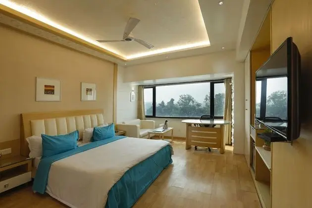 Deluxe Tek Büyük Yataklı Oda, Şehir Manzaralı