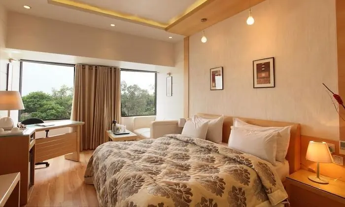 Deluxe Tek Büyük Yataklı Oda, Şehir Manzaralı