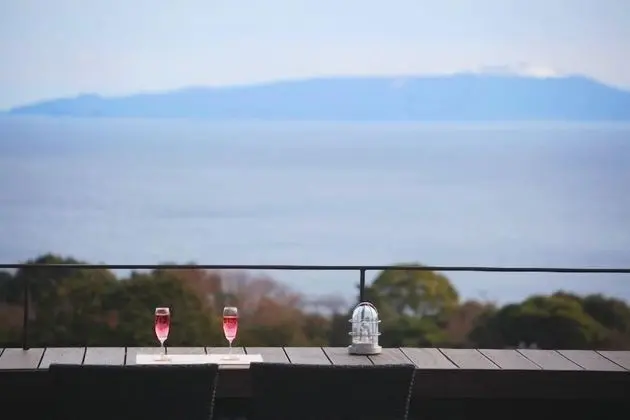 Tek Büyük Yataklı Oda (SAKURA)