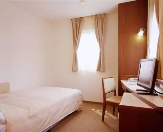 Tek Büyük Yataklı Oda, 1 Tek Kişilik XL Yatak, Sigara İçilebilir