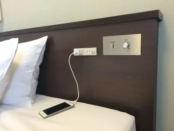 Economy Tek Büyük Yataklı Oda, Sigara İçilmez (For 2 people)
