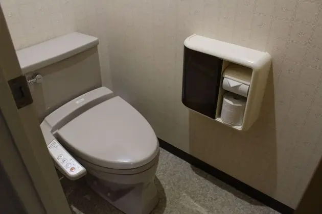 Deluxe Üç Kişilik Oda, Sigara İçilmez, Özel Banyo (Small JapaneseWestern, Mt & Lake View)