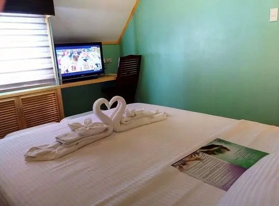 Çatı Katı (Loft)