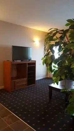 Süit