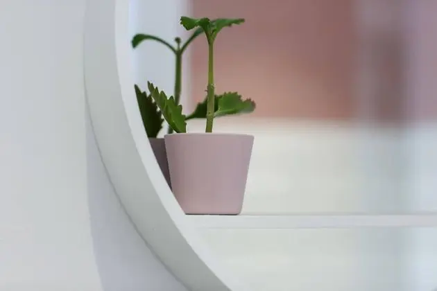 Apart Daire, Özel Banyo