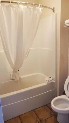 Queen Room with Sofa Bed