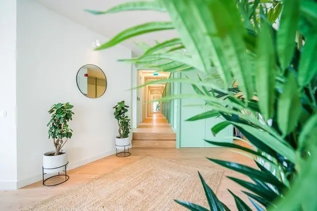 Apart Daire (Suite I)