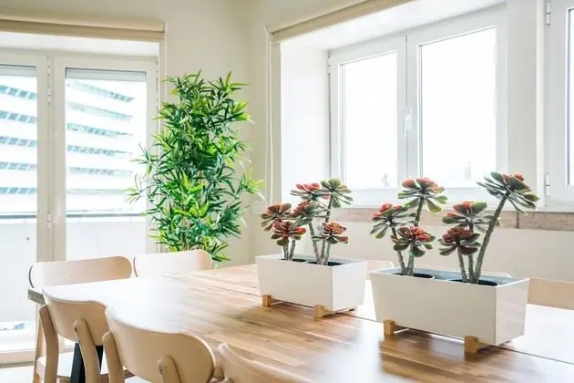 Apart Daire (Suite III)