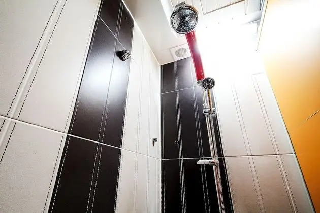 Süit