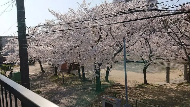Traditional Oda (Japanese Style)