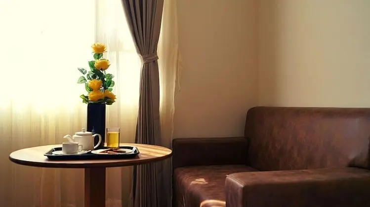 Premium Oda, 1 En Büyük (King) Boy Yatak, Şehir Manzaralı