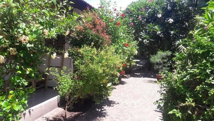Oda, 1 Yatak Odası (Budget With AC)