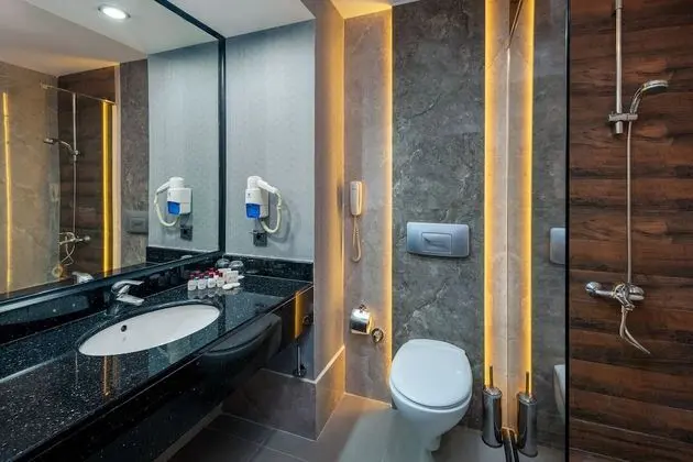 Standard Tek Büyük veya İki Ayrı Yataklı Oda, 1 Yatak Odası, Engellilere Uygun