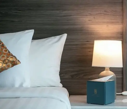 Deluxe Tek Büyük Yataklı Oda, 1 En Büyük (King) Boy Yatak