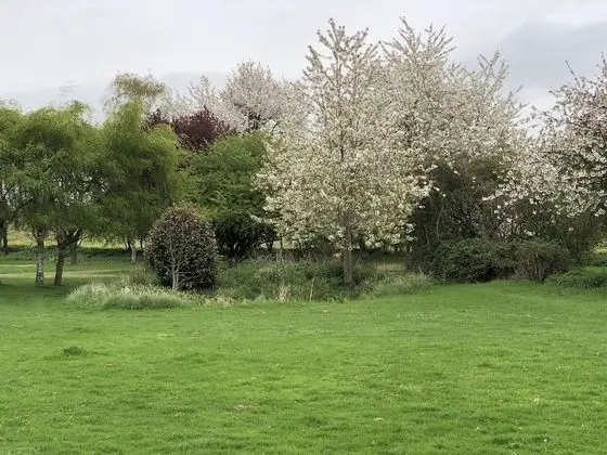 İki Ayrı Yataklı Oda, Banyolu/Duşlu, Bahçe Manzaralı