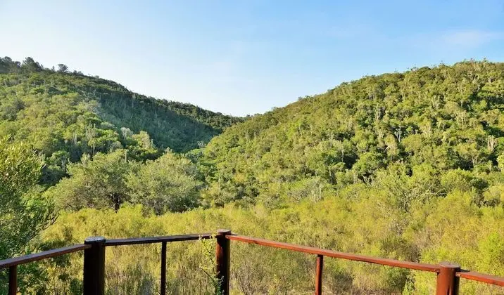 Bush Lodge