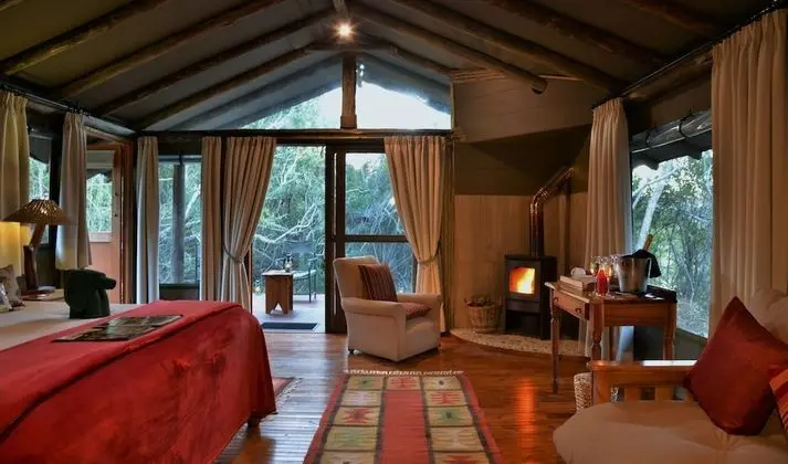 Forest Camp