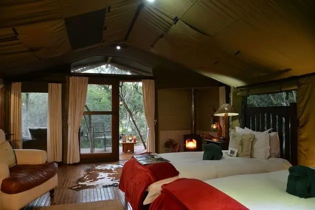 Forest Camp