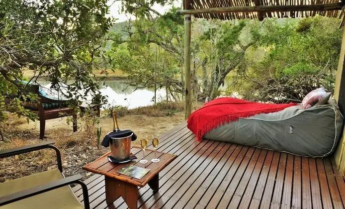 Forest Camp