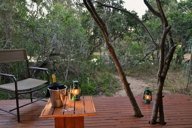 Forest Camp