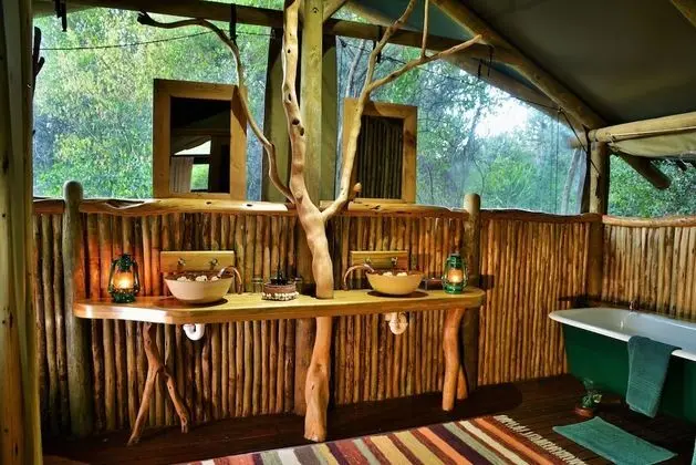 Forest Camp