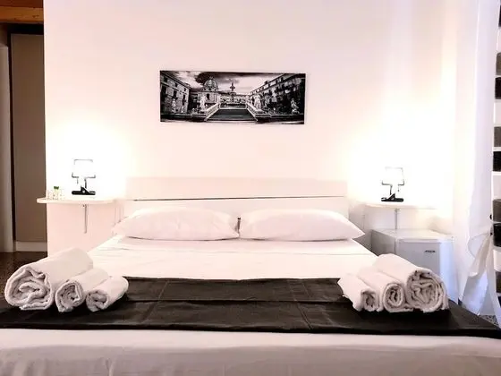 Standard Tek Büyük Yataklı Oda (2)