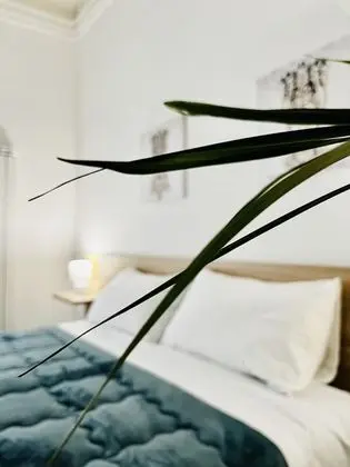 Traditional Tek Büyük Yataklı Oda, Avlu Manzaralı (3)