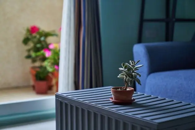 Comfort Tek Büyük Yataklı Oda