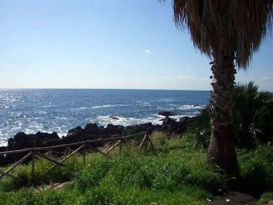 Apart Daire, Birden Çok Yatak