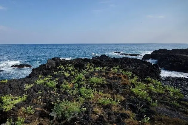 Apart Daire, Birden Çok Yatak