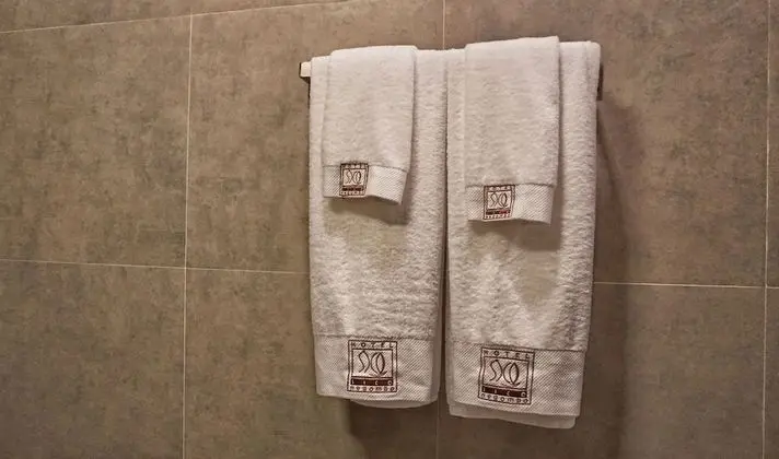 Deluxe Tek Büyük veya İki Ayrı Yataklı Oda, Balkon, Şehir Manzaralı