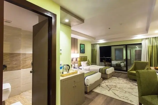 Deluxe Oda, 1 Yatak Odası, Şehir Manzaralı