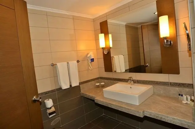 Standard Büyük Yataklı Tek Kişilik Oda, Şehir Manzaralı