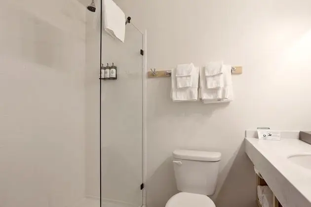 Premium Oda, 1 En Büyük (King) Boy Yatak
