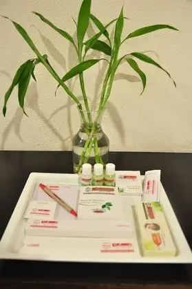 Premium Oda, Dağ Manzaralı